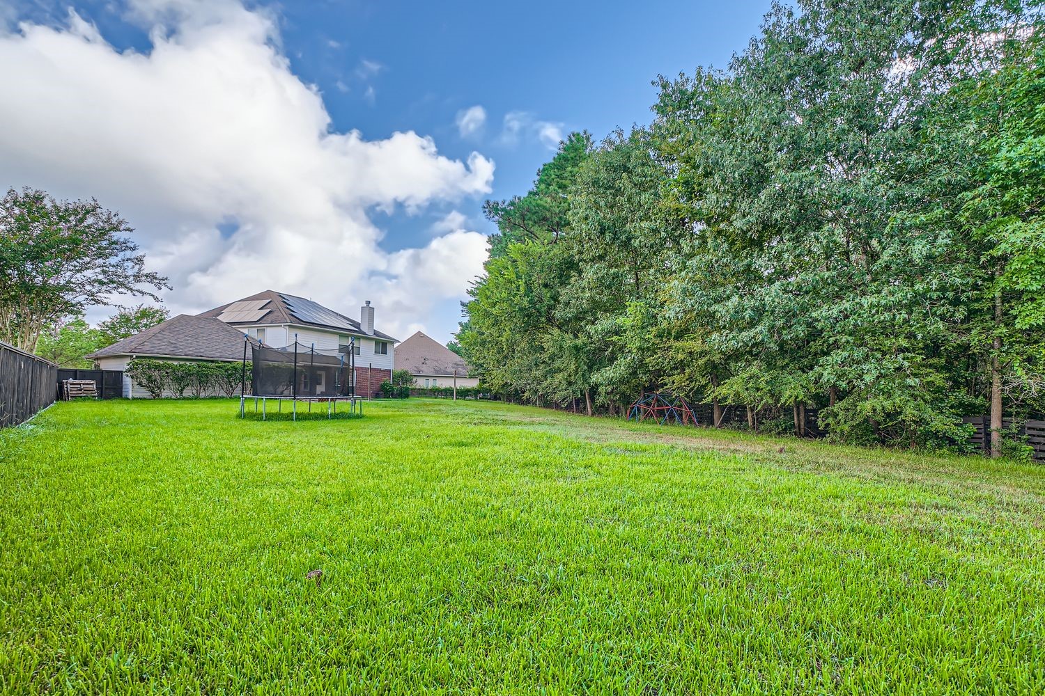 17 Leandro Court Montgomery, TX 77356 - Photo 37 of 38 a view of a big yard in front of a house
