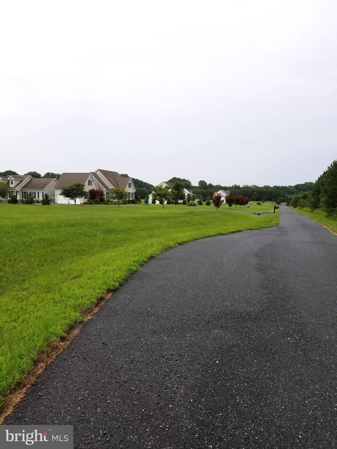 30252 Chestnut Ridge Lane Trappe, MD 21673 - Photo 3 of 8 View Neighborhood