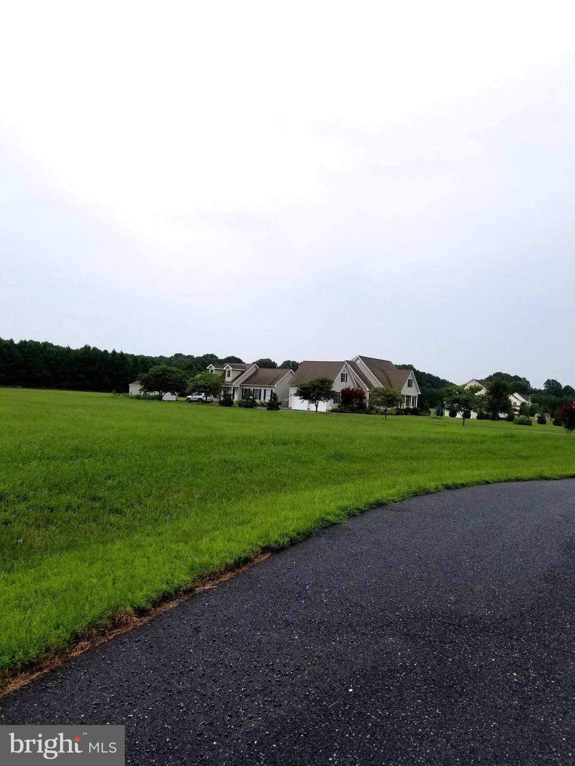 30252 Chestnut Ridge Lane Trappe, MD 21673 - Photo 4 of 8 View Neighborhood