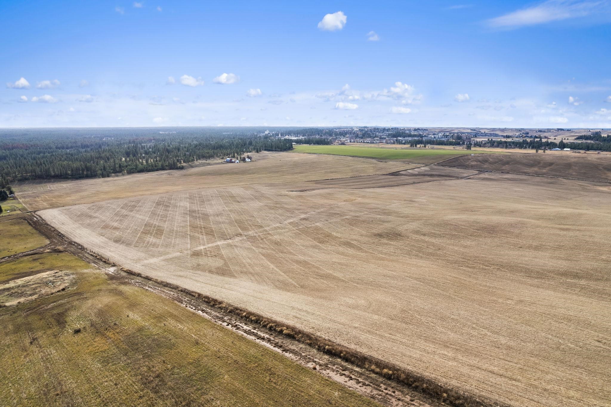 Xxx South Andrus Road, Unit LOT #2 Cheney, WA 99004 - Photo 13 of 20