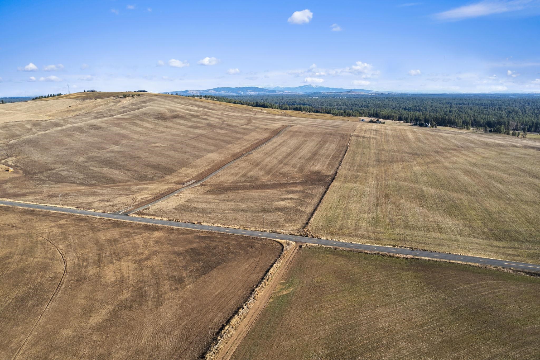 Xxx South Andrus Road, Unit LOT #2 Cheney, WA 99004 - Photo 16 of 20
