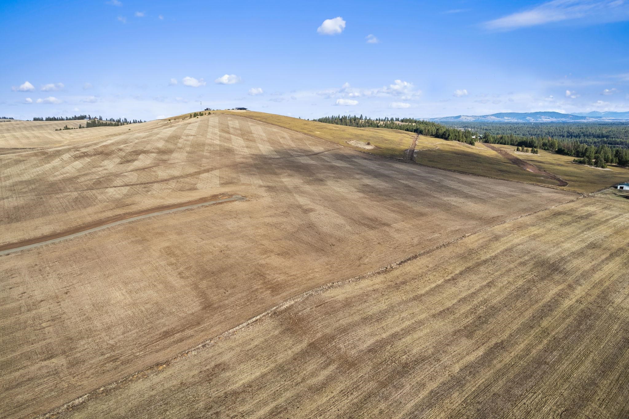 Xxx South Andrus Road, Unit LOT #2 Cheney, WA 99004 - Photo 6 of 20