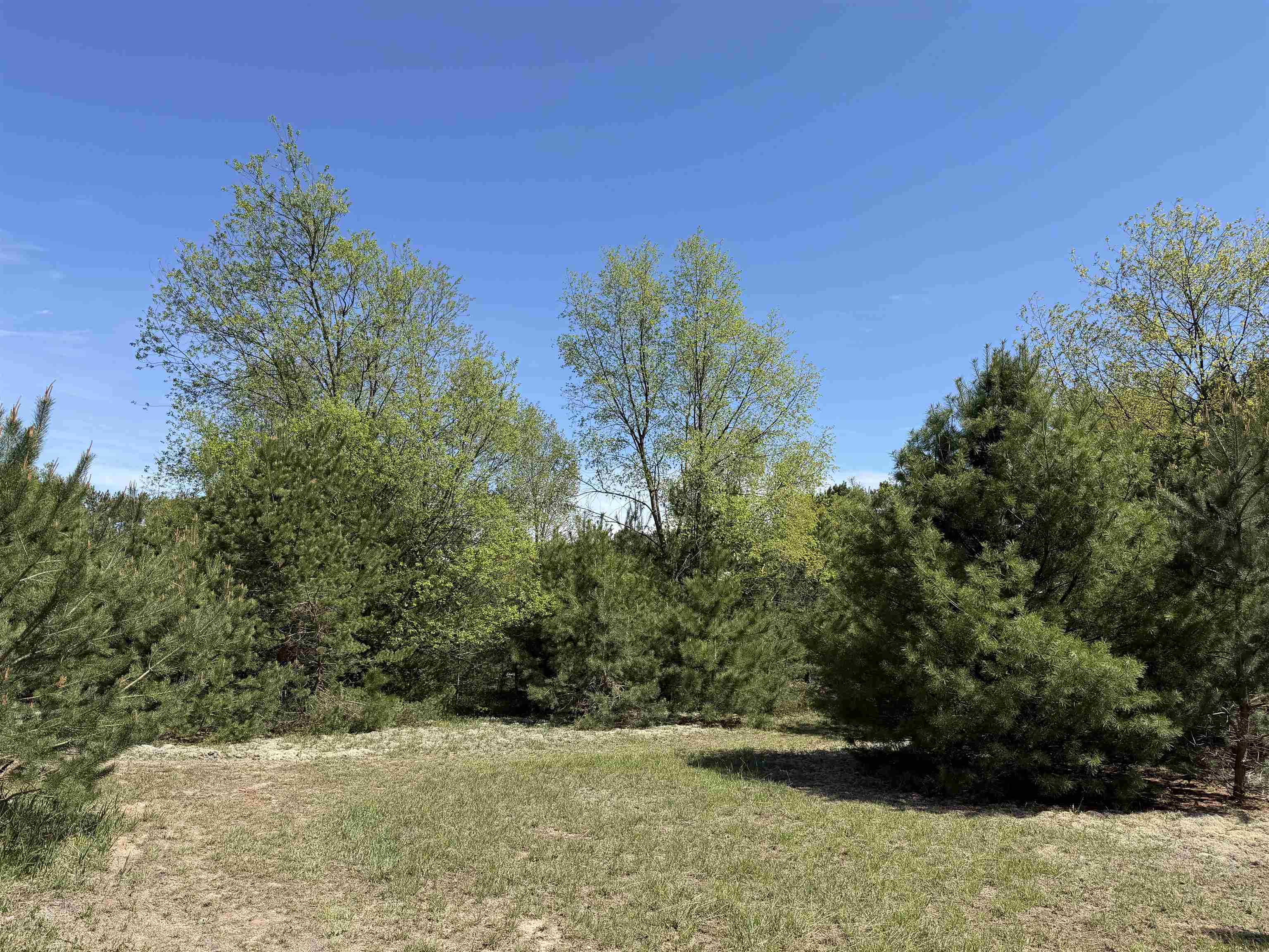 13158 Cinder Road Beulah, MI 49617 - Photo 14 of 46