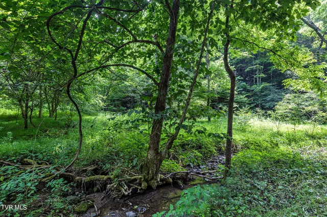 $199,000 | Lot 9 Lone Star Road, Unit 9, Bristol, VA 24202