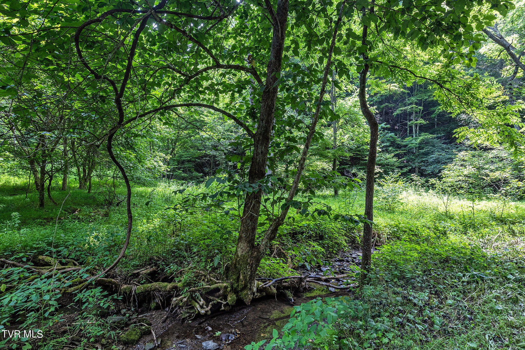Lot 9 Lone Star Road, Unit 9 Bristol, VA 24202 - Photo 2 of 13 2