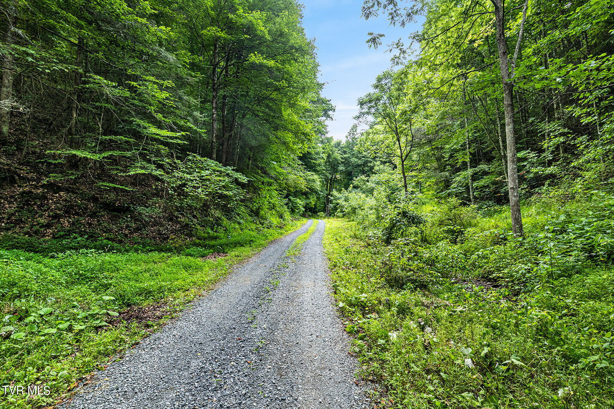 Lot 9 Lone Star Road, Unit 9 Bristol, VA 24202 - Photo 3 of 13 3