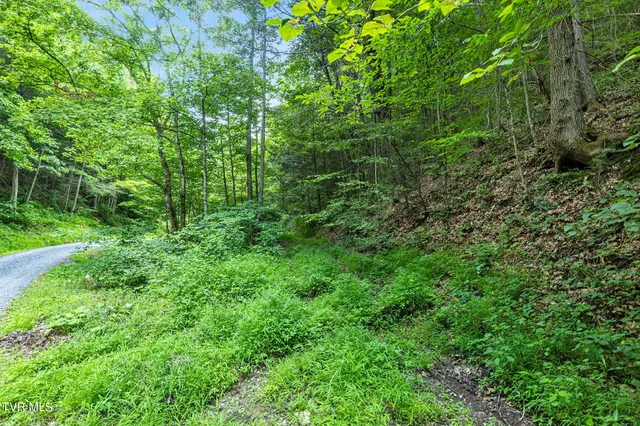 $199,000 | Lot 9 Lone Star Road, Unit 9, Bristol, VA 24202