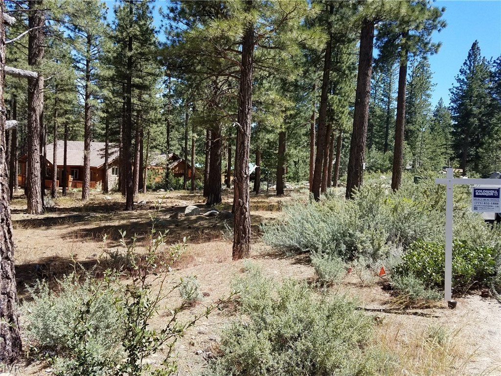 30 Winterberry Court Reno, NV 89511 - Photo 2 of 10 Gallery Image 2