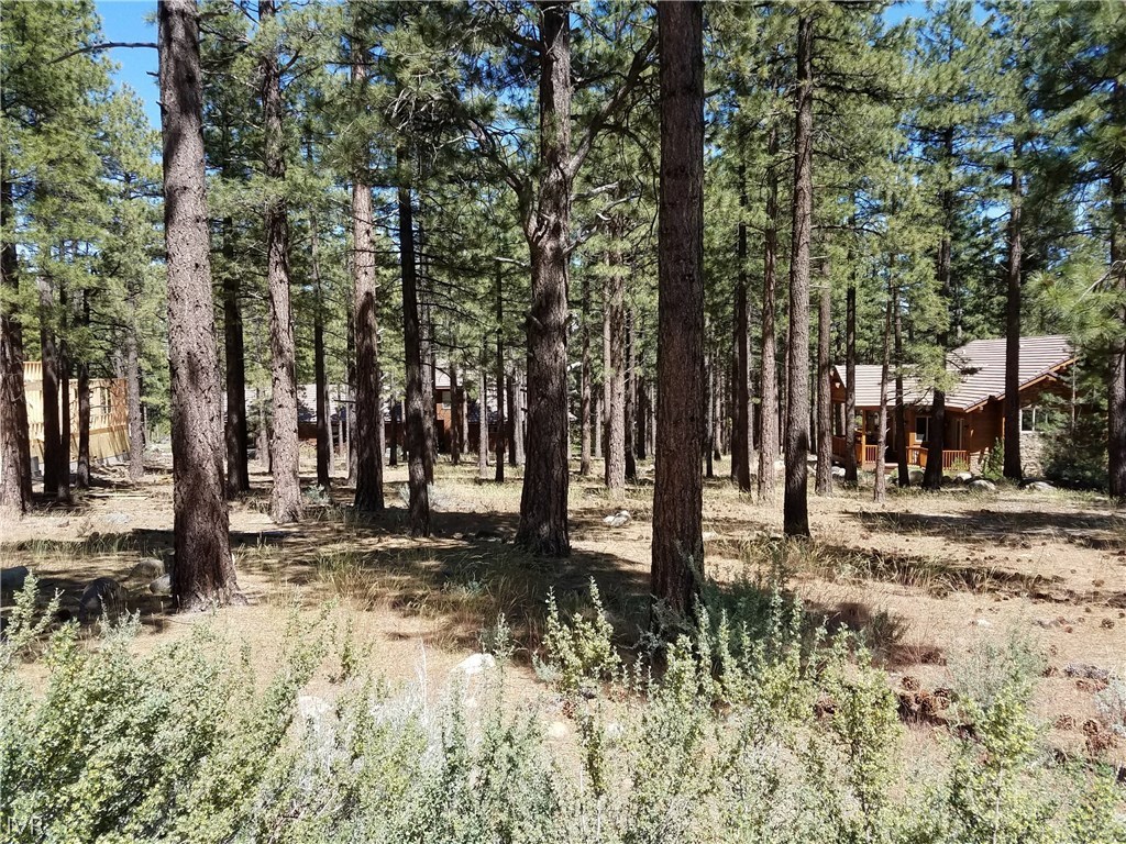 30 Winterberry Court Reno, NV 89511 - Photo 3 of 10 Gallery Image 3