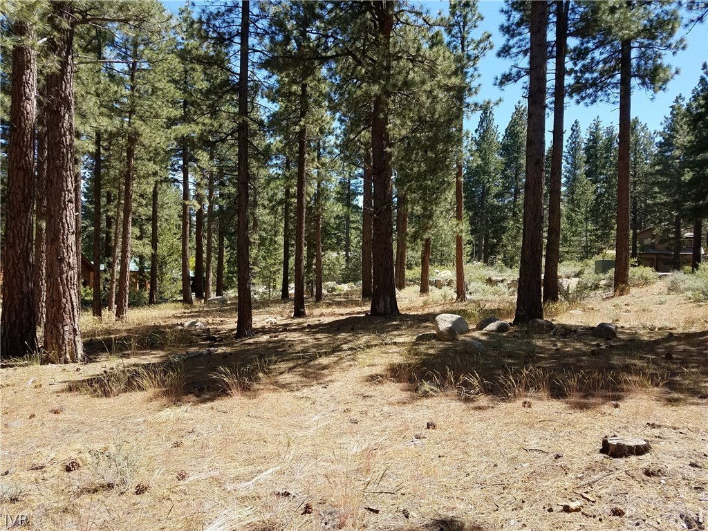 30 Winterberry Court Reno, NV 89511 - Photo 5 of 10 Gallery Image 5