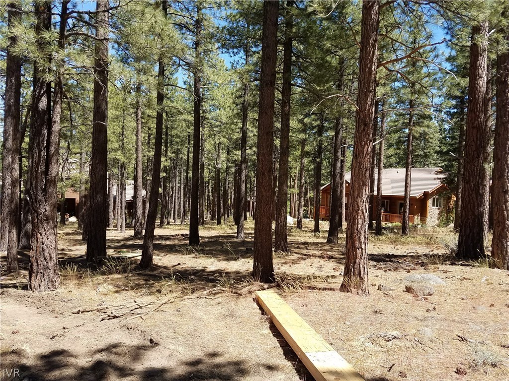 30 Winterberry Court Reno, NV 89511 - Photo 6 of 10 Gallery Image 6