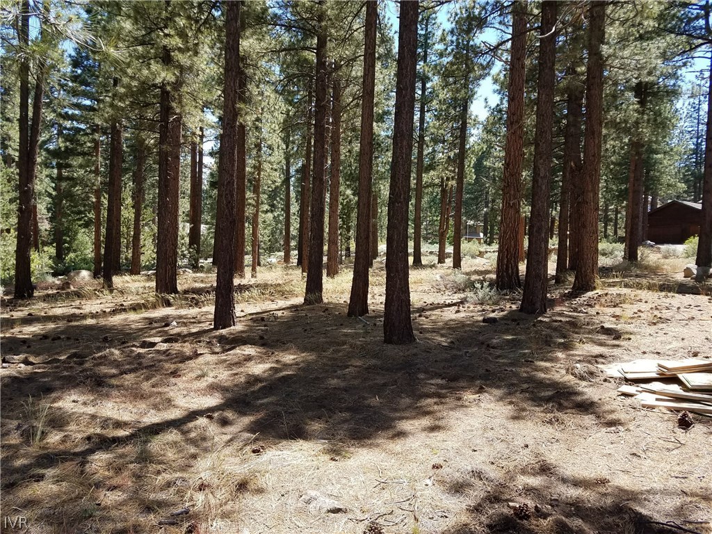 30 Winterberry Court Reno, NV 89511 - Photo 7 of 10 Gallery Image 7