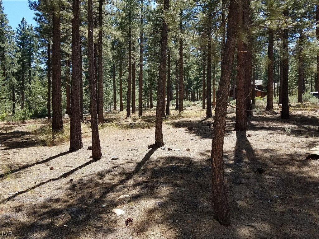 30 Winterberry Court Reno, NV 89511 - Photo 8 of 10 Gallery Image 8