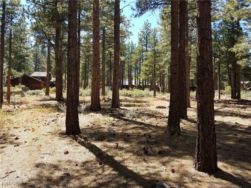 30 Winterberry Court Reno, NV 89511 - Photo 10 of 10 Gallery Image 10