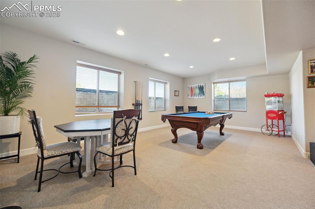 1724 Valley Stream Court Colorado Springs, CO 80921 - Photo 32 of 49 a room with furniture and a potted plant