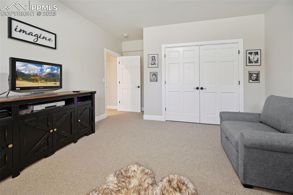 1724 Valley Stream Court Colorado Springs, CO 80921 - Photo 40 of 49 a living room with furniture and a flat screen tv