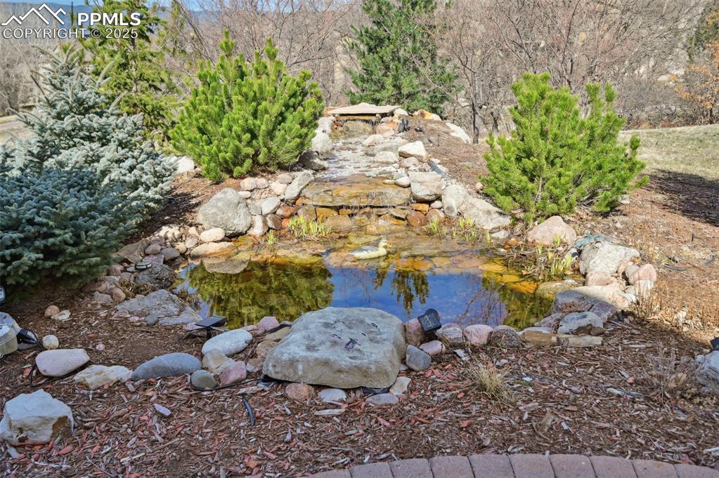 1724 Valley Stream Court Colorado Springs, CO 80921 - Photo 46 of 49 a view of a garden with plants