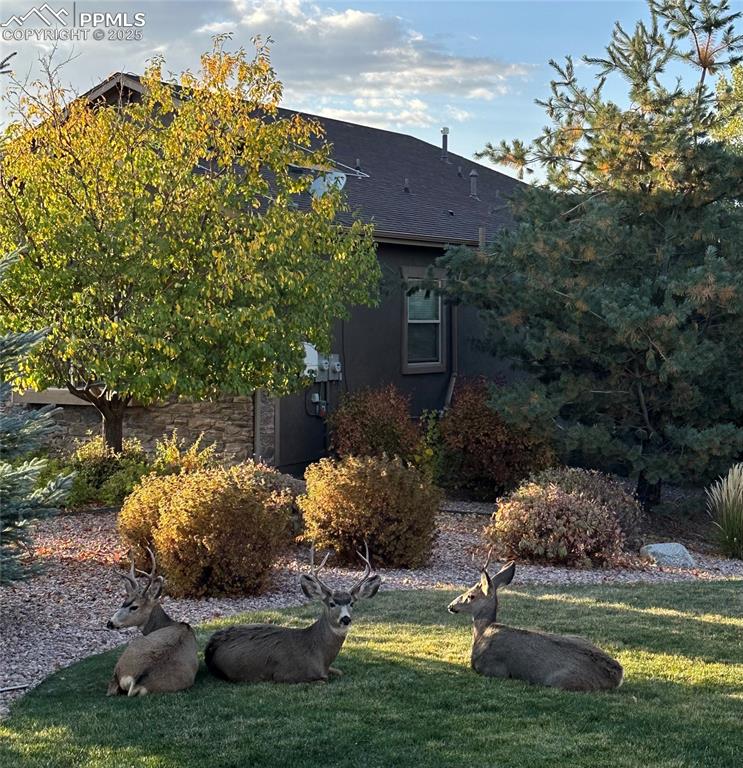 1724 Valley Stream Court Colorado Springs, CO 80921 - Photo 48 of 49 a view of a backyard with plants and a patio