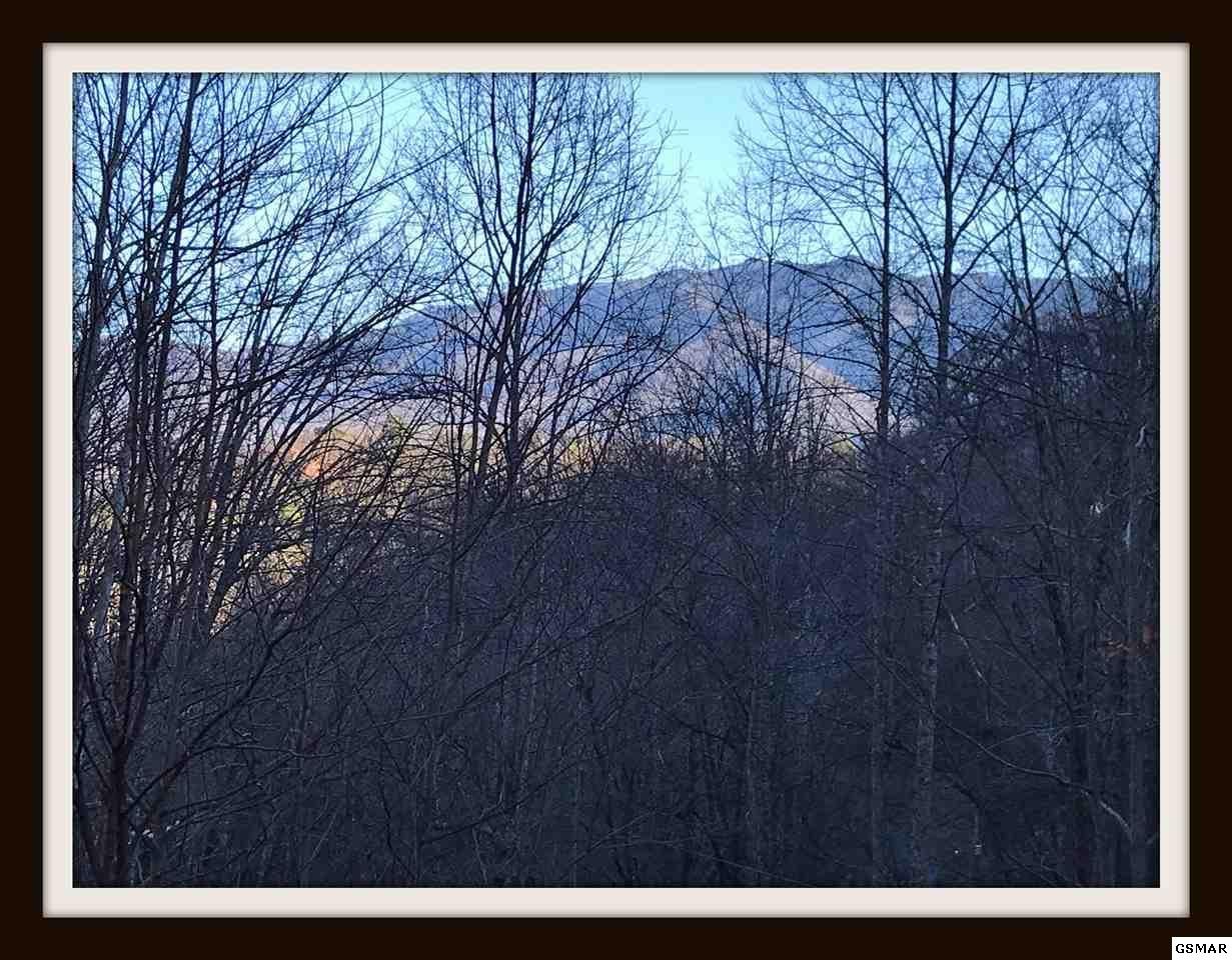 814 Stans Road, Unit TRAMLOOKOUT Gatlinburg, TN 37738 - Photo 7 of 34 Gallery Image 7