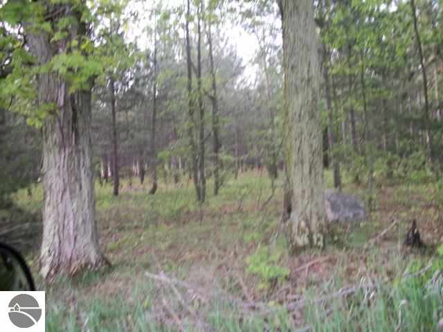 7880 Creighton Road Southwest South Boardman, MI 49680 - Photo 23 of 25 1743786-22.JPG