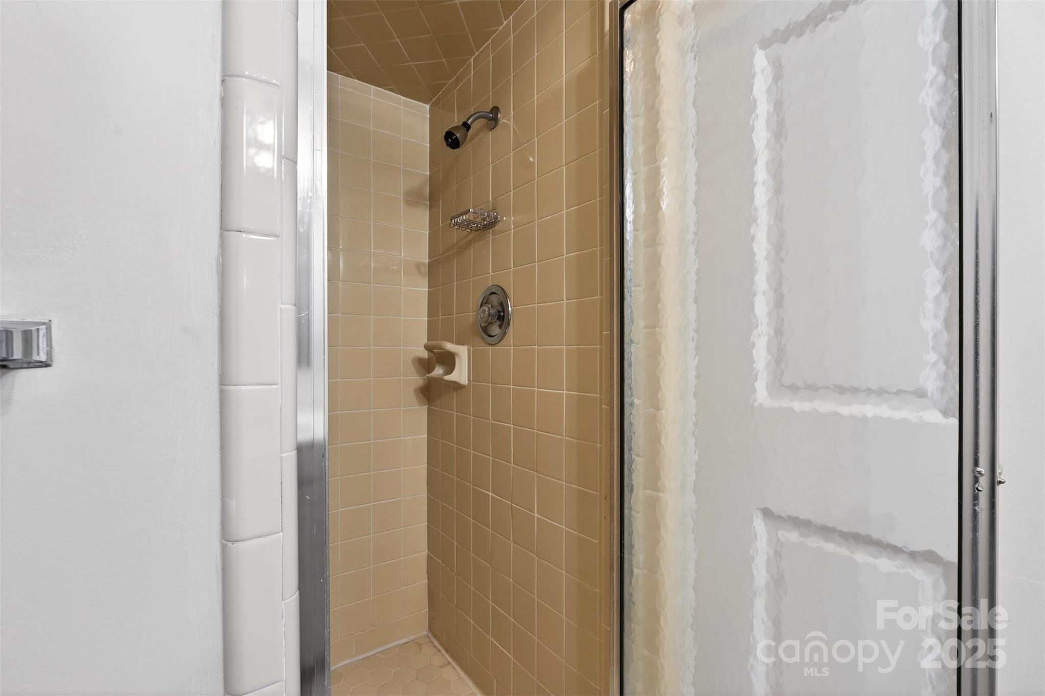 705 Hooper Creek Road Tryon, NC 28782 - Photo 39 of 48