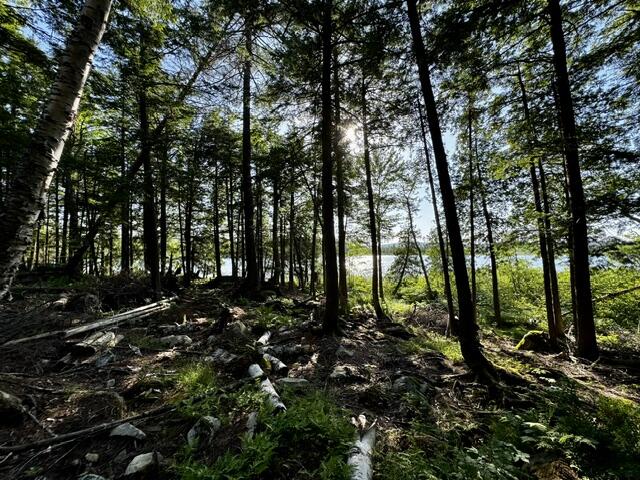 Lot 1 Skogen Ridge Drive Belgrade, ME 04917 - Photo 5 of 13 IMG_5433