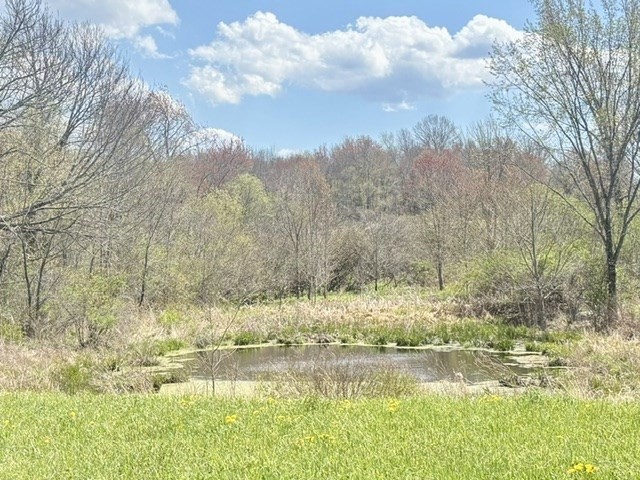 69 Petersham Road, Unit B Hardwick, MA 01037 - Photo 4 of 14 Gallery Image 4