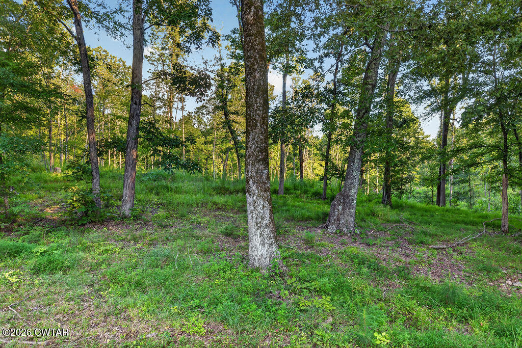705 Cave Springs Road Henderson, TN 38340 - Photo 76 of 91 976A7629