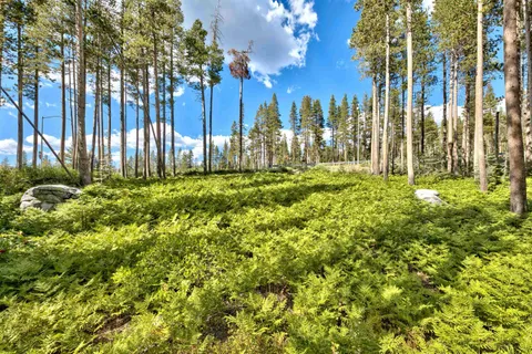 $72,000 | 22028 Lotta Crabtree, Soda Springs, CA 95728