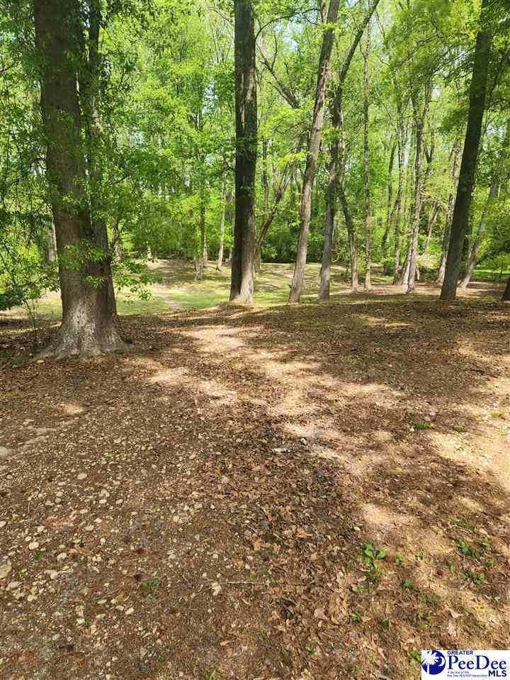 109 Bob White Road Cheraw, SC 29520 - Photo 8 of 27 Gallery Image 8
