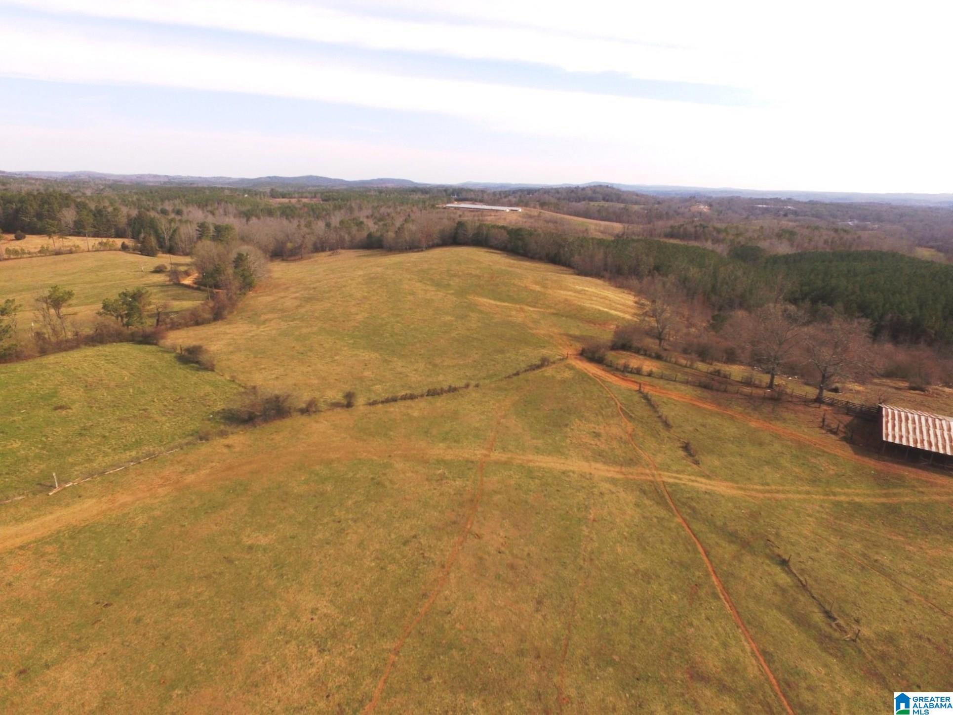 1500 Shiloh Church Road, Unit 81 95 ACRES Delta, AL 36258 - Photo 14 of 28