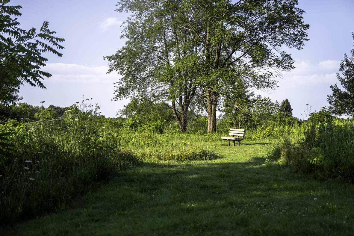 116 Cornerstone Crossing Hampshire, IL 60140 - Photo 46 of 61