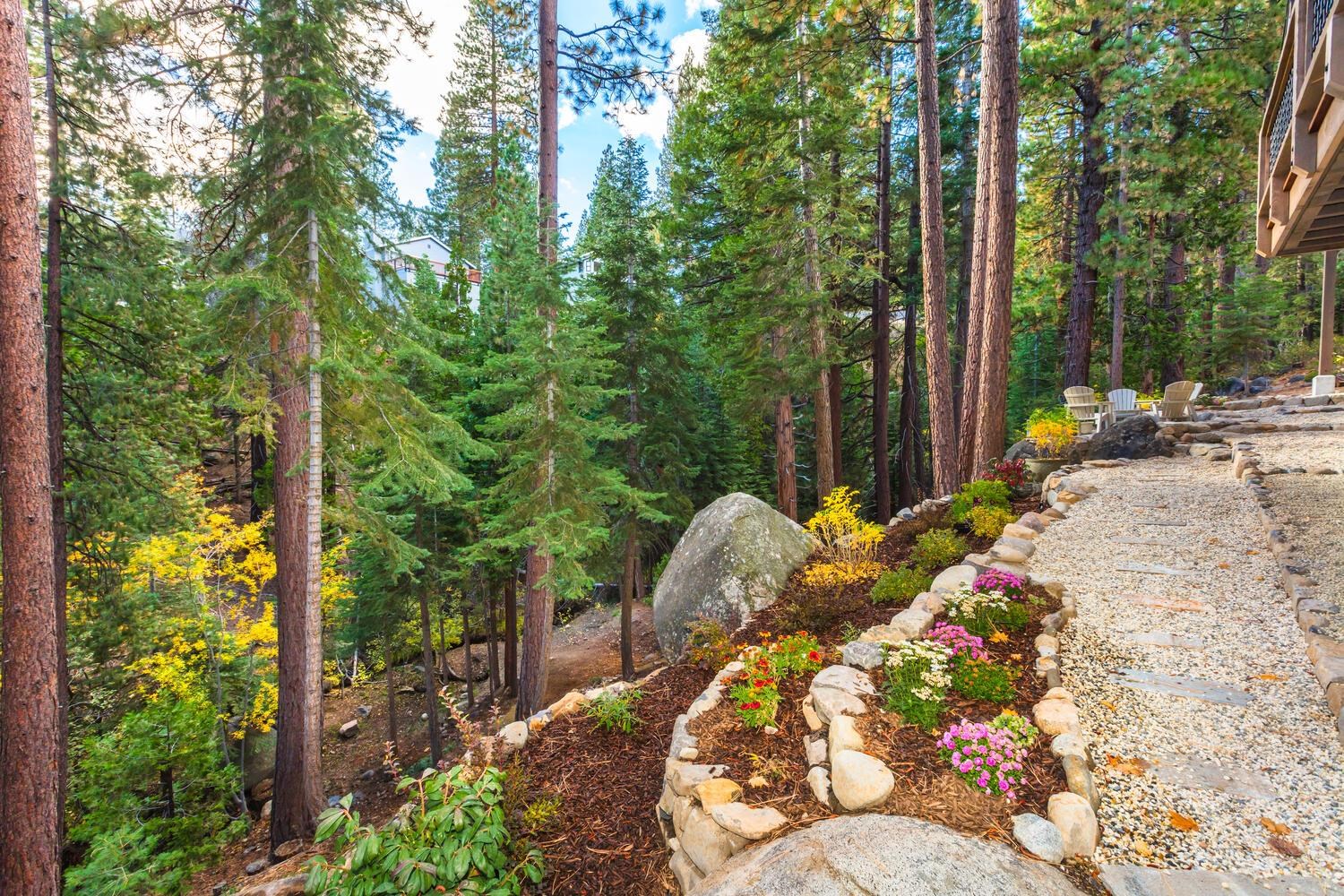 629 Tyner Way Incline Village, NV 89451 - Photo 22 of 27 a view of a backyard with large trees and plants