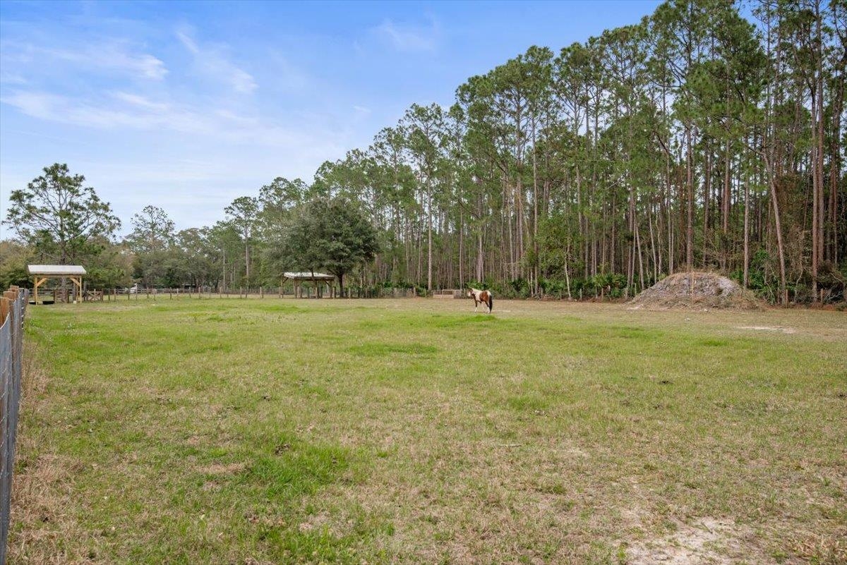 4575 Carter Road St. Augustine, FL 32086 - Photo 66 of 90