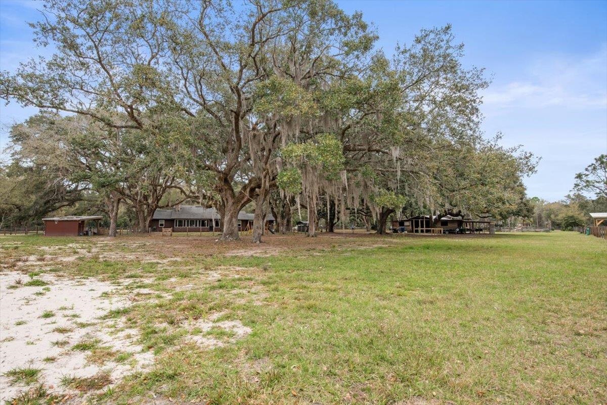 4575 Carter Road St. Augustine, FL 32086 - Photo 67 of 90 a view of a yard with trees