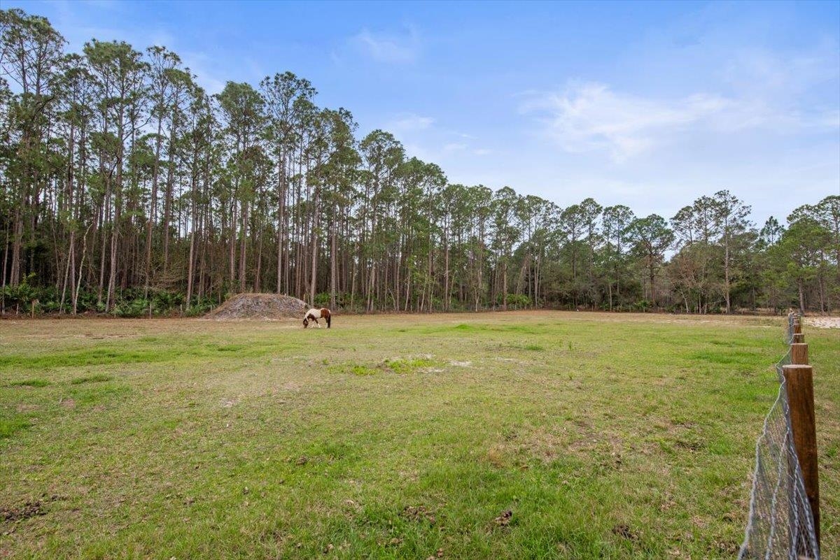 4575 Carter Road St. Augustine, FL 32086 - Photo 69 of 90