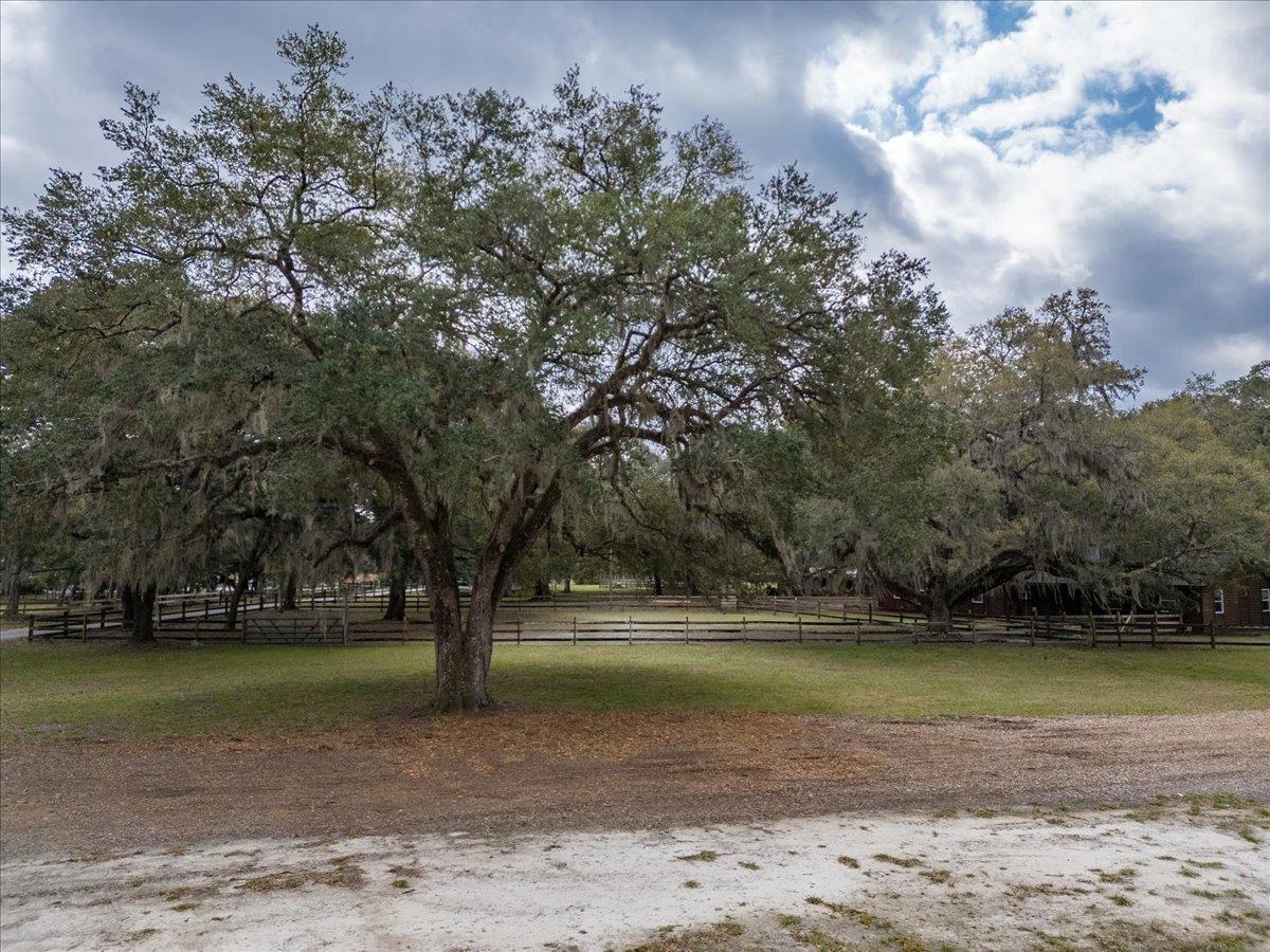 4575 Carter Road St. Augustine, FL 32086 - Photo 80 of 90 a view of a yard with large trees