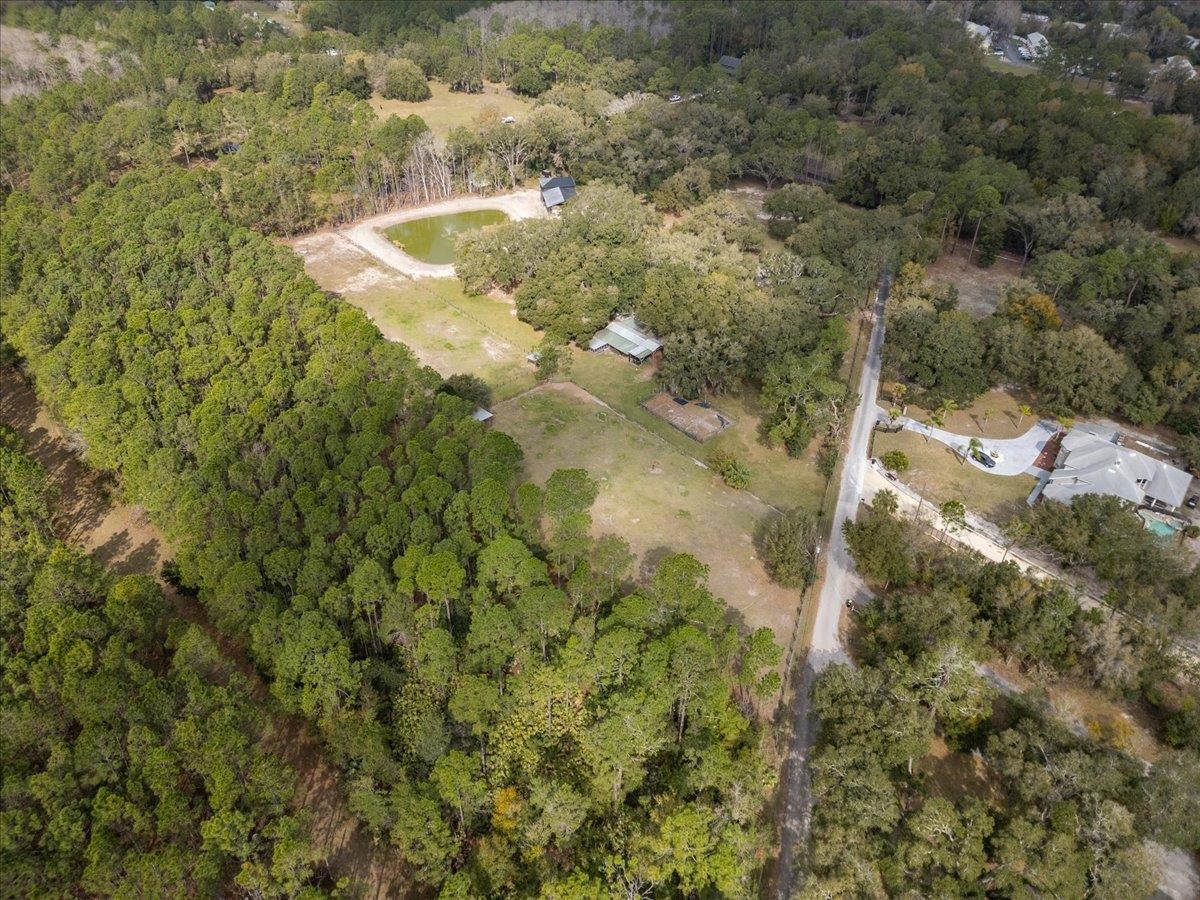 4575 Carter Road St. Augustine, FL 32086 - Photo 83 of 90 a view of a yard with trees