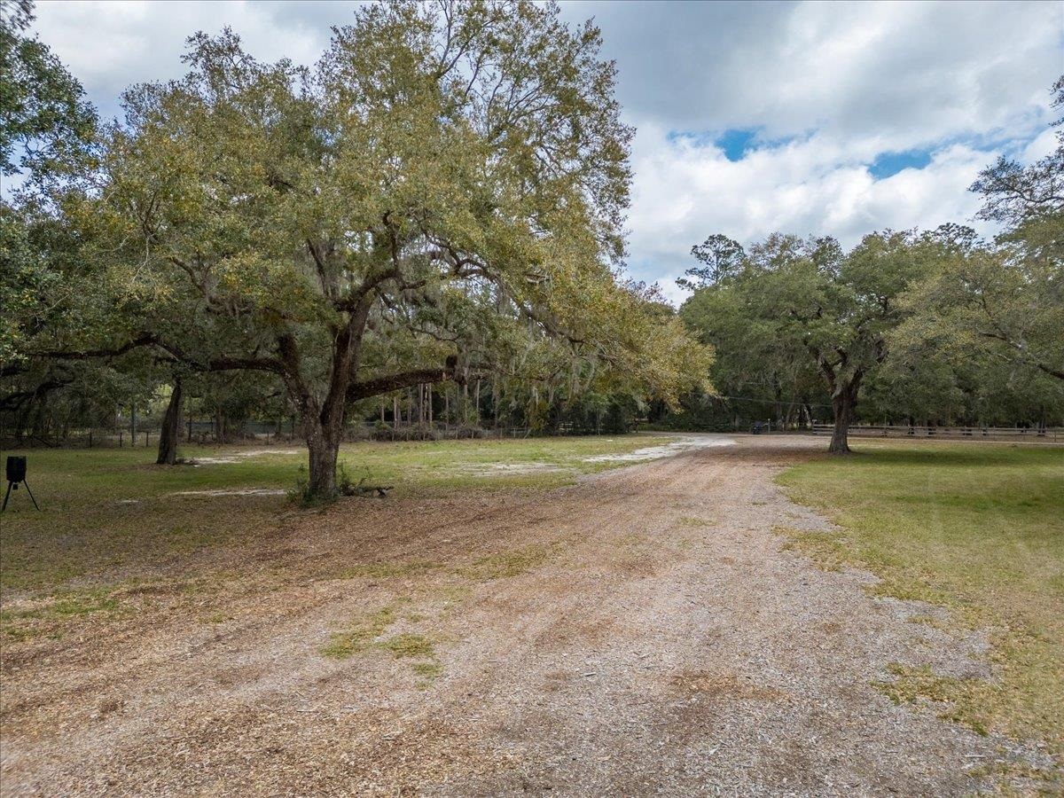 4575 Carter Road St. Augustine, FL 32086 - Photo 90 of 90 a view of backyard with green space