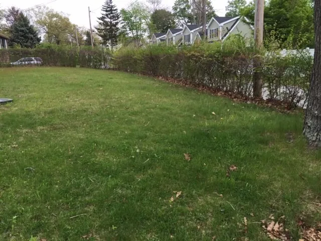 a view of a backyard