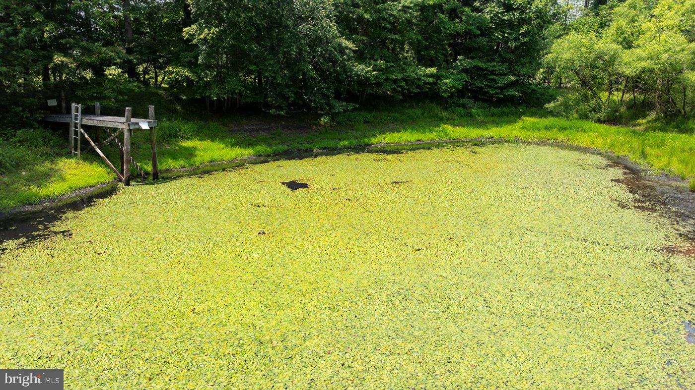 274 A Aaron Mountain Road Castleton, VA 22716 - Photo 47 of 76 Close up of Pond