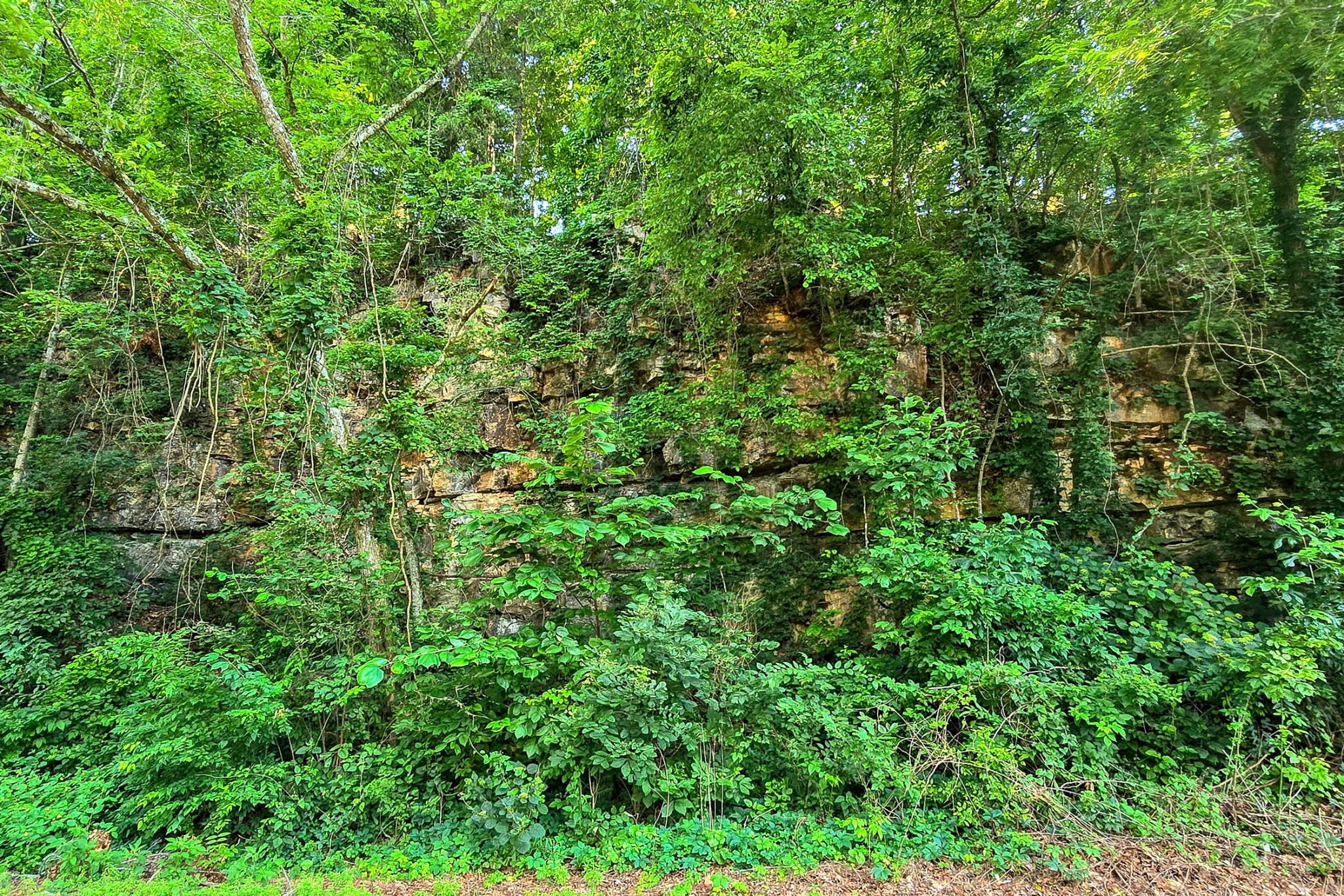 8157 Highway 49 Springfield, TN 37172 - Photo 49 of 56