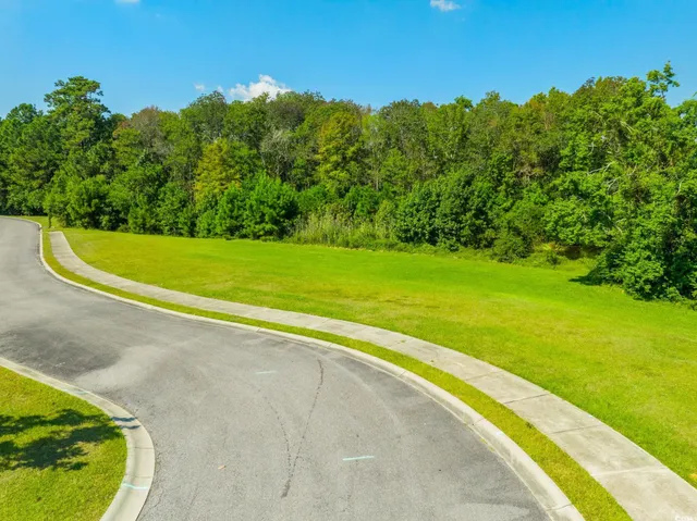 $99,000 | Lot 54 Grassland Lane, Georgetown, SC 29440