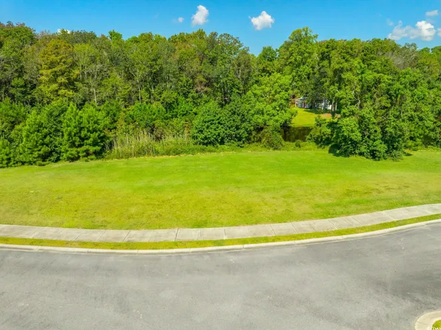 $99,000 | Lot 54 Grassland Lane, Georgetown, SC 29440