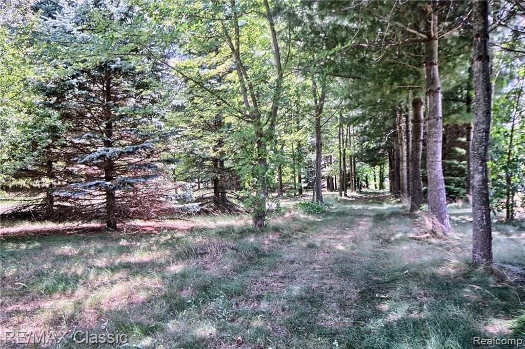 46047 Bemis Road Belleville, MI 48111 - Photo 2 of 30