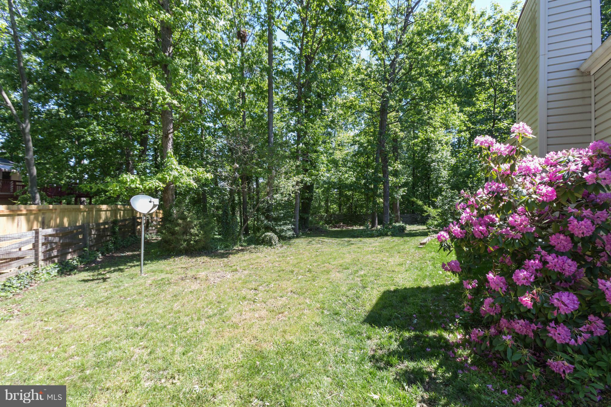 4530 Cub Run Road Chantilly, VA 20151 - Photo 8 of 30 Exterior (Rear)