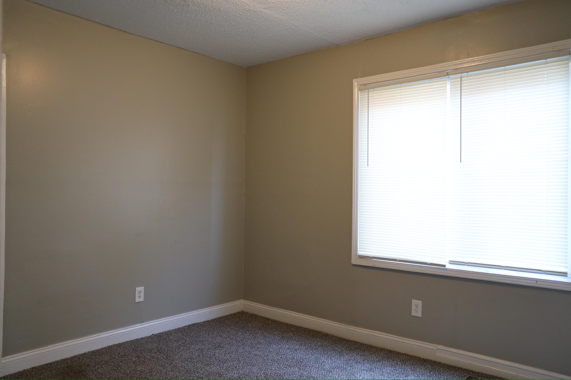 3825 Waverly Street Detroit, MI 48238 - Photo 15 of 45 5M0A8898