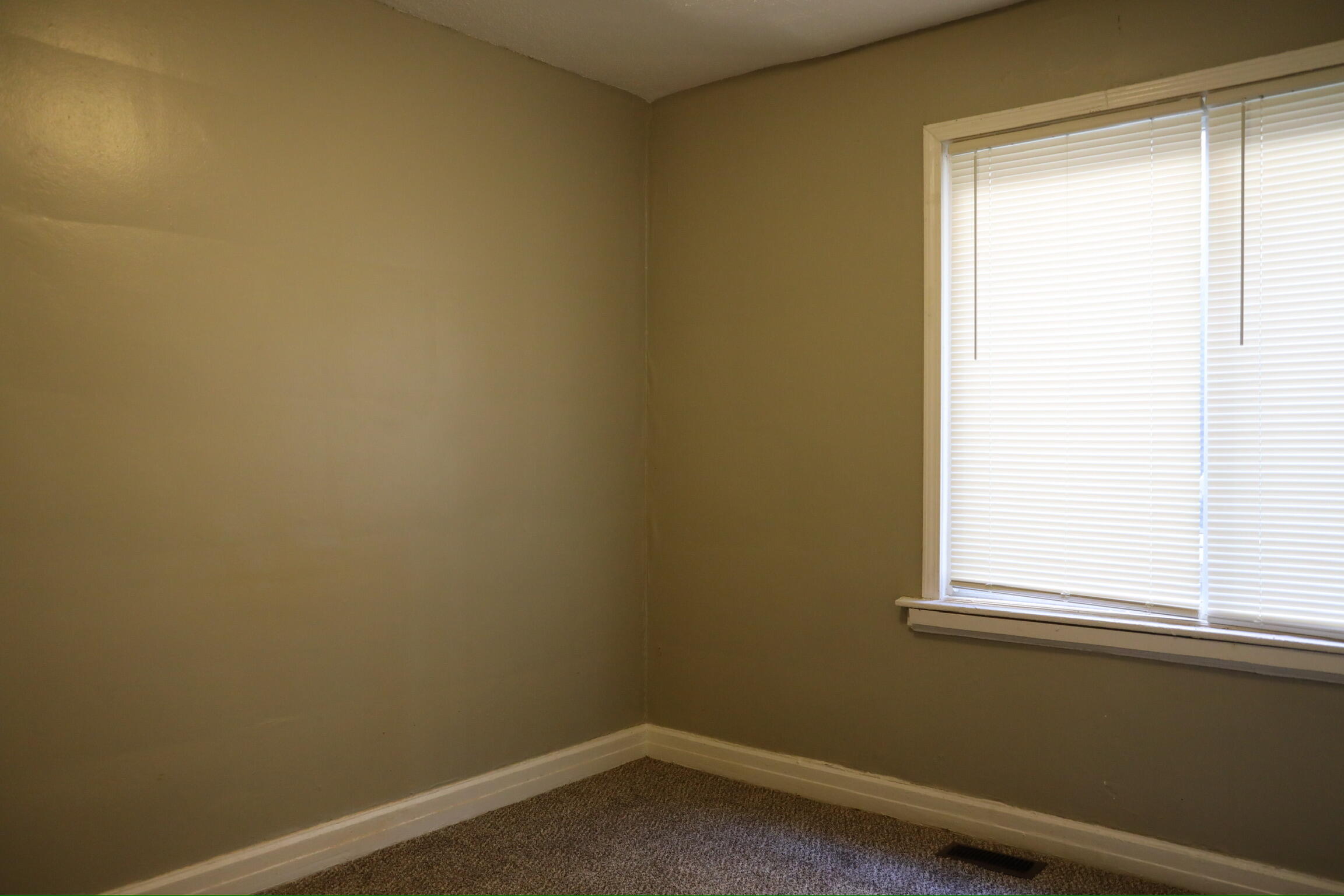 3825 Waverly Street Detroit, MI 48238 - Photo 17 of 45 5M0A8900