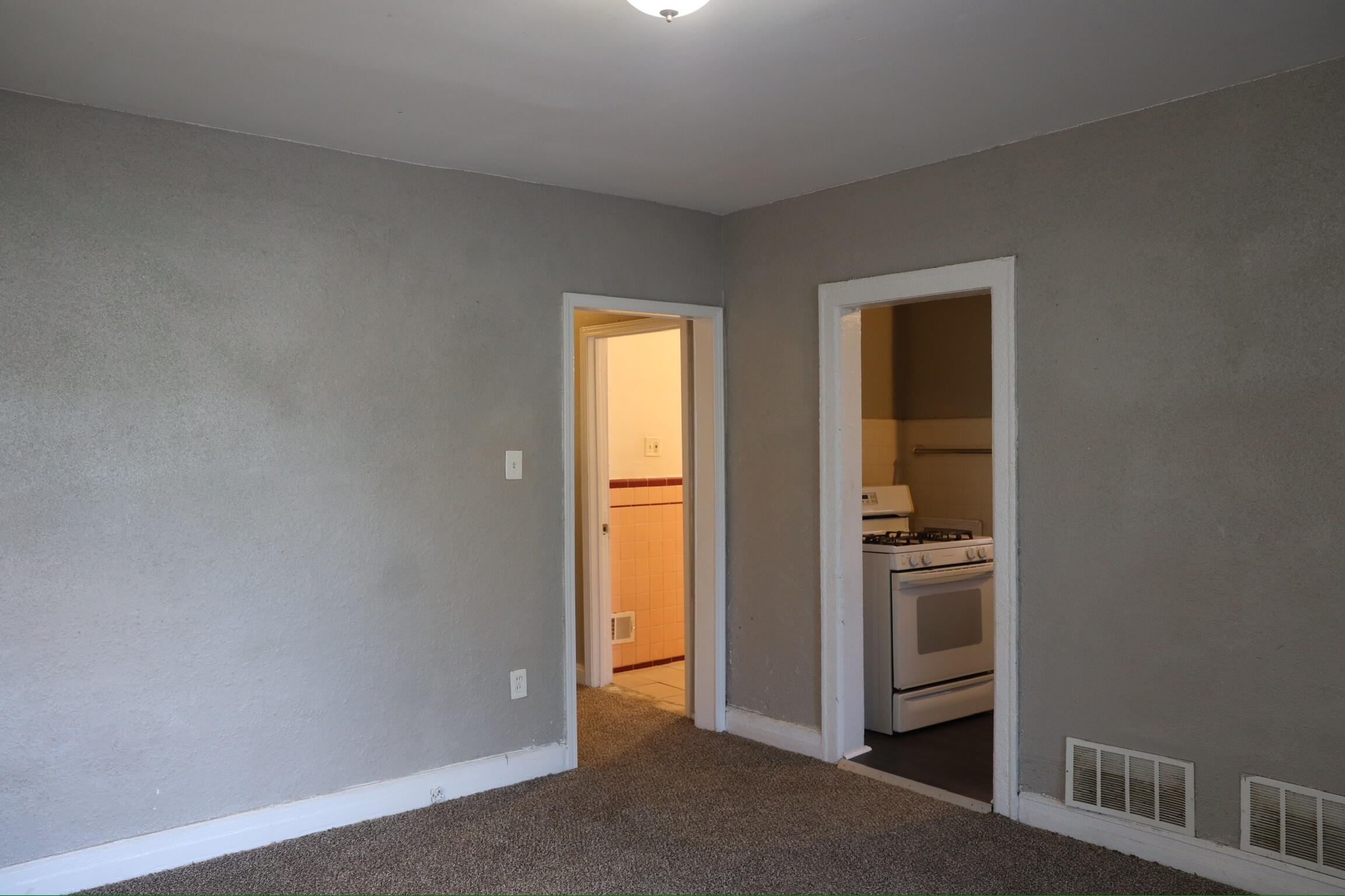 3825 Waverly Street Detroit, MI 48238 - Photo 8 of 45 5M0A8889