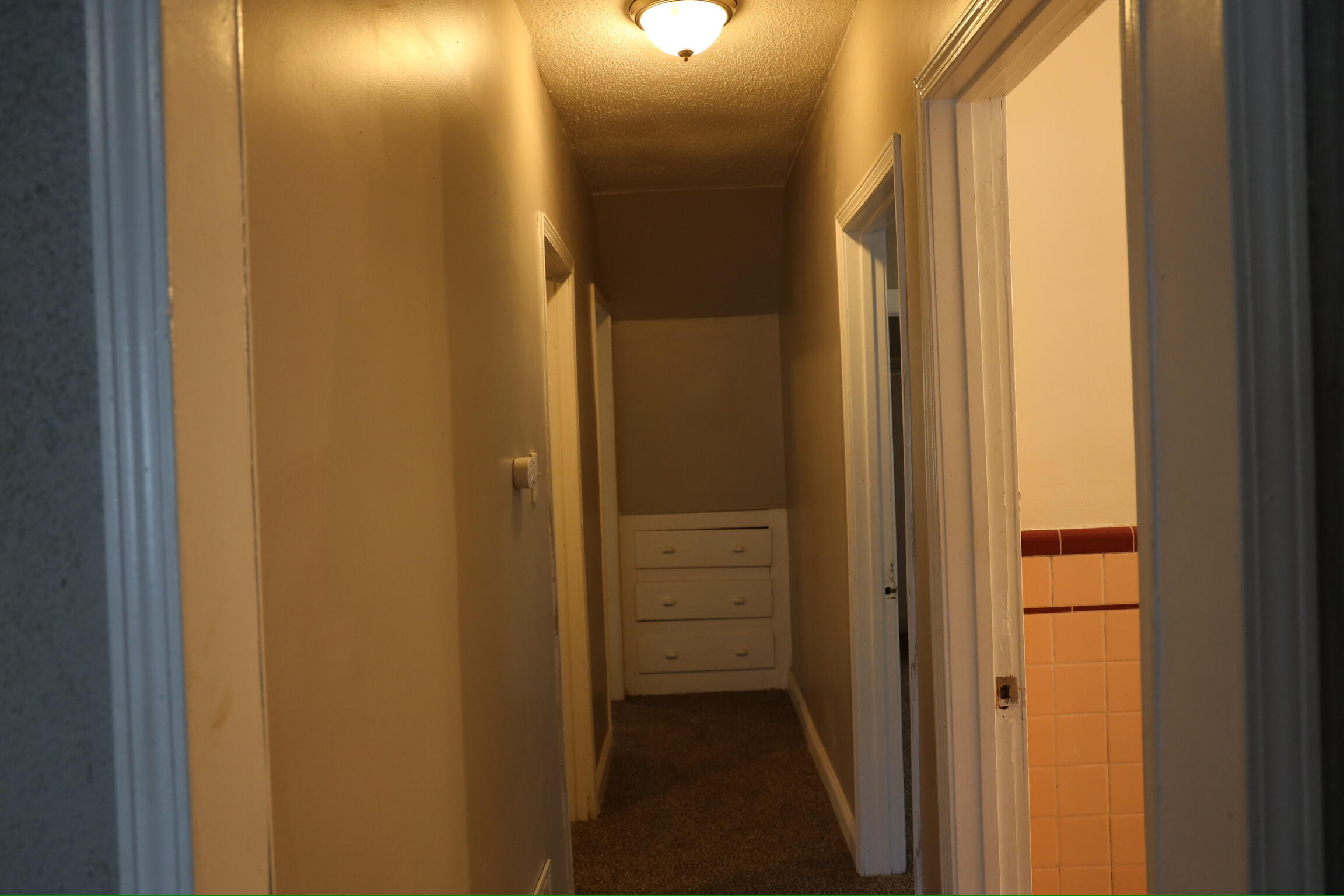 3825 Waverly Street Detroit, MI 48238 - Photo 10 of 45 5M0A8892